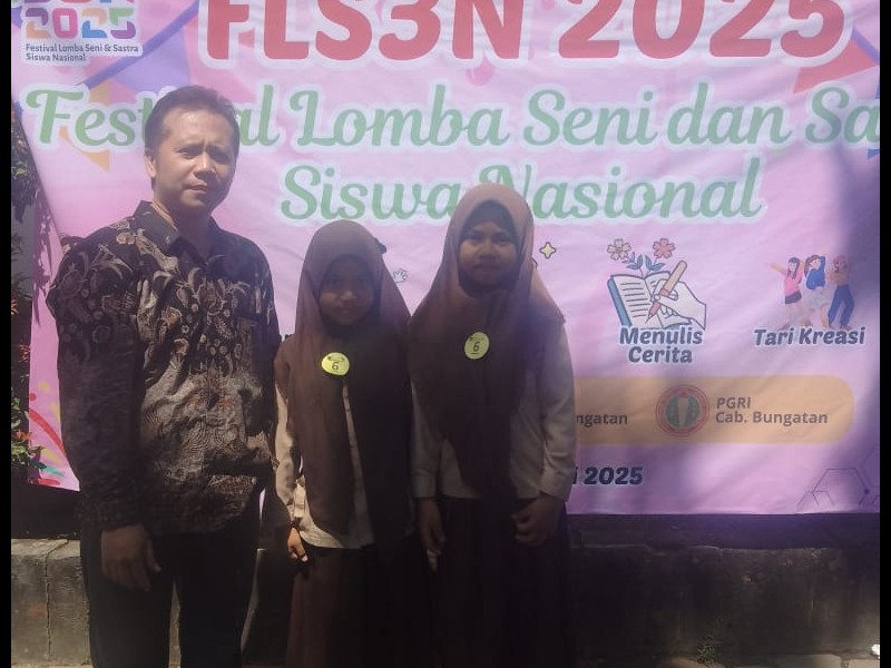 FLS3N